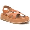 Attireknit.shopc911b9096e 4